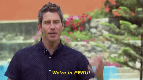 arie9.gif