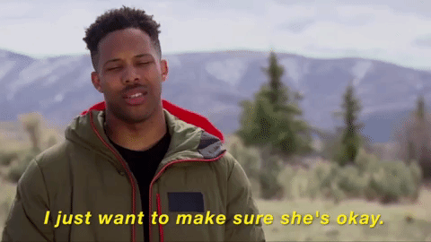 wills4.gif