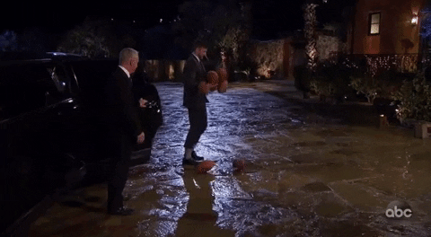 kevin1.gif