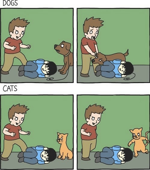 Accurate