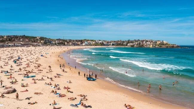 Largely Automating Beach Safety to Create a Better World