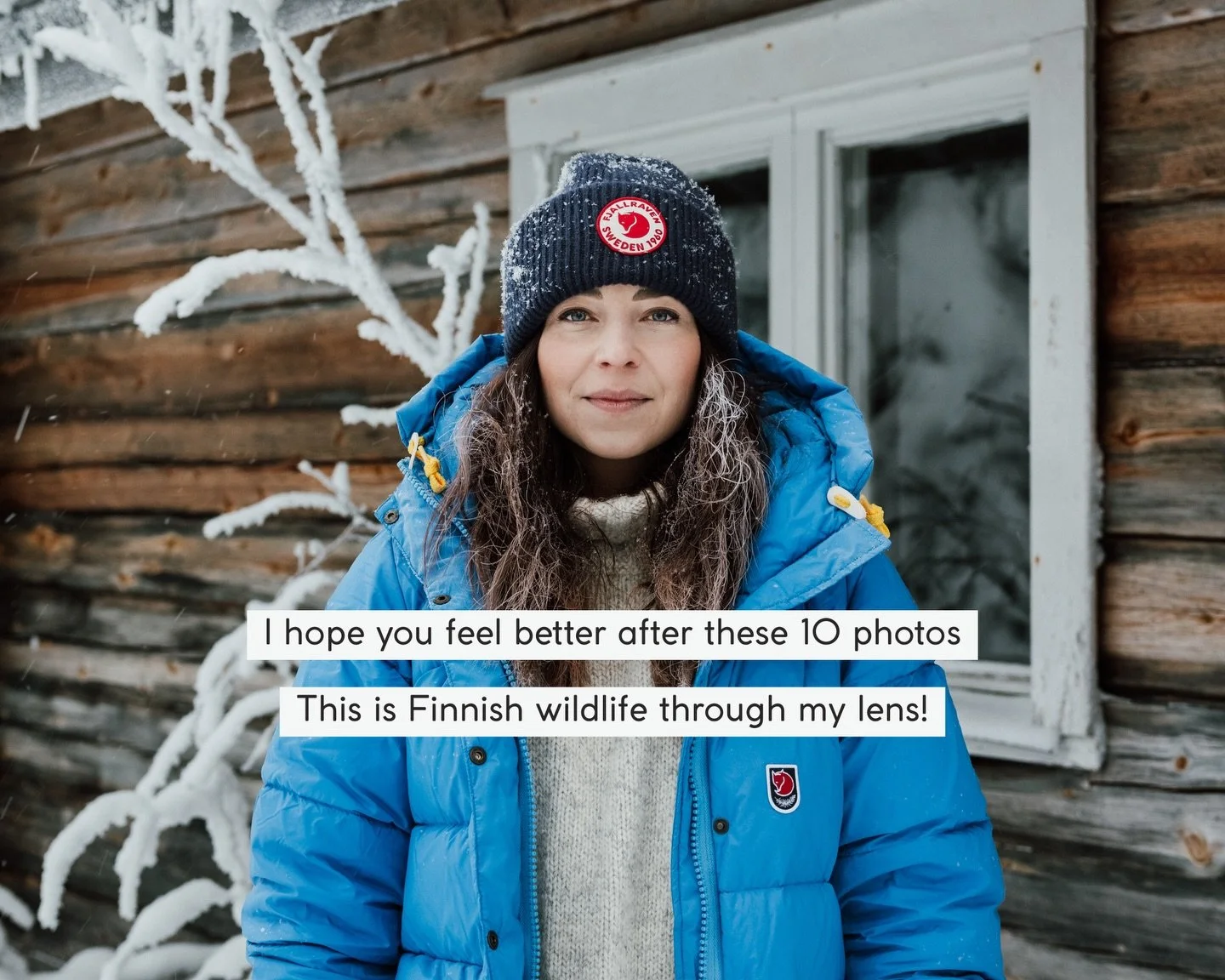 Hi to all new and old followers! I'm Krista, a professional Finnish nature photographer 🇫🇮 Let me show you few of the most memorable moments I've experienced with wildlife. Do you have a favourite one? 🦊

I hope these photos will make you feel eas