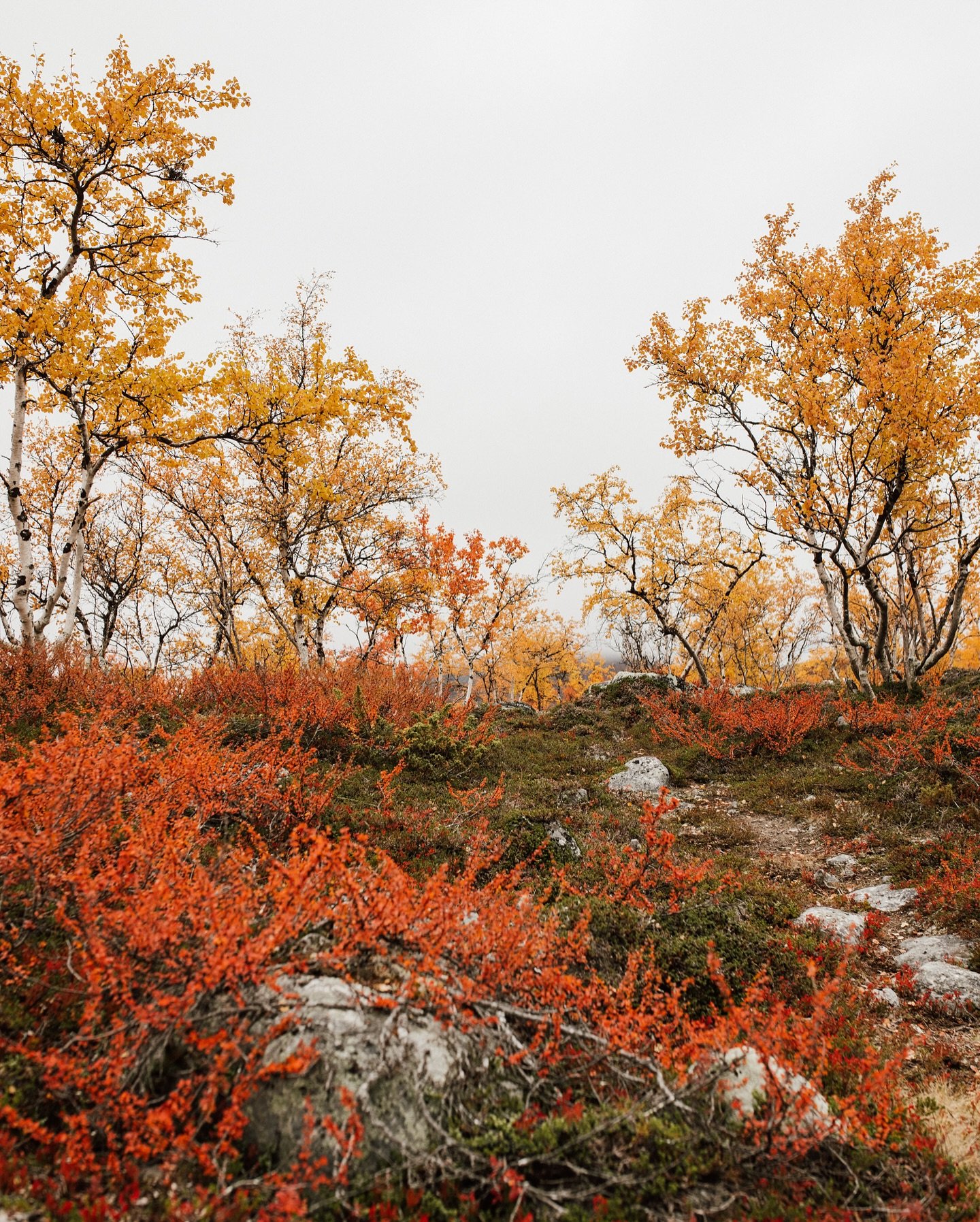 Seasons change ❤️