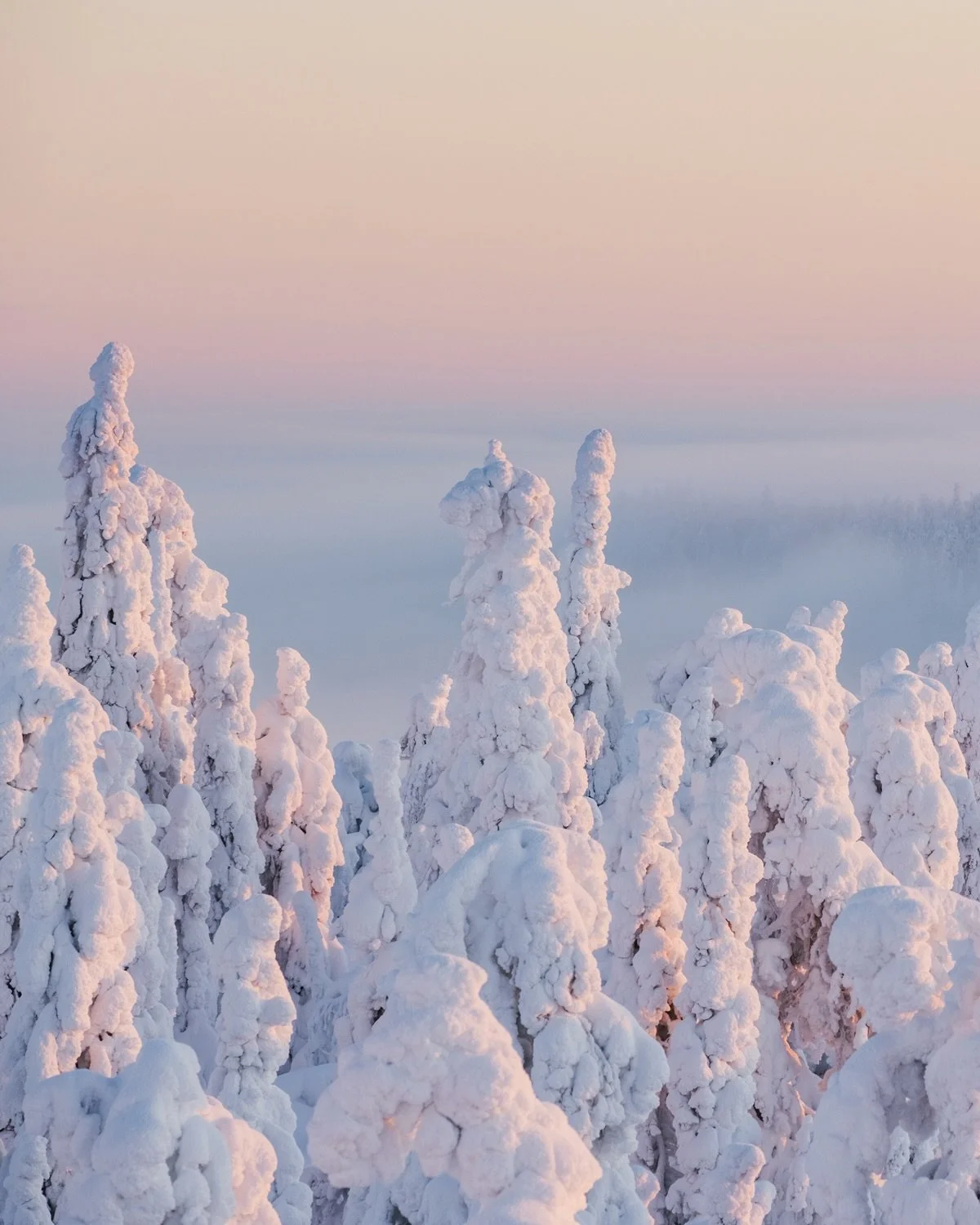 Suomi, t&auml;rkein 🤍💙
#suomi #finland