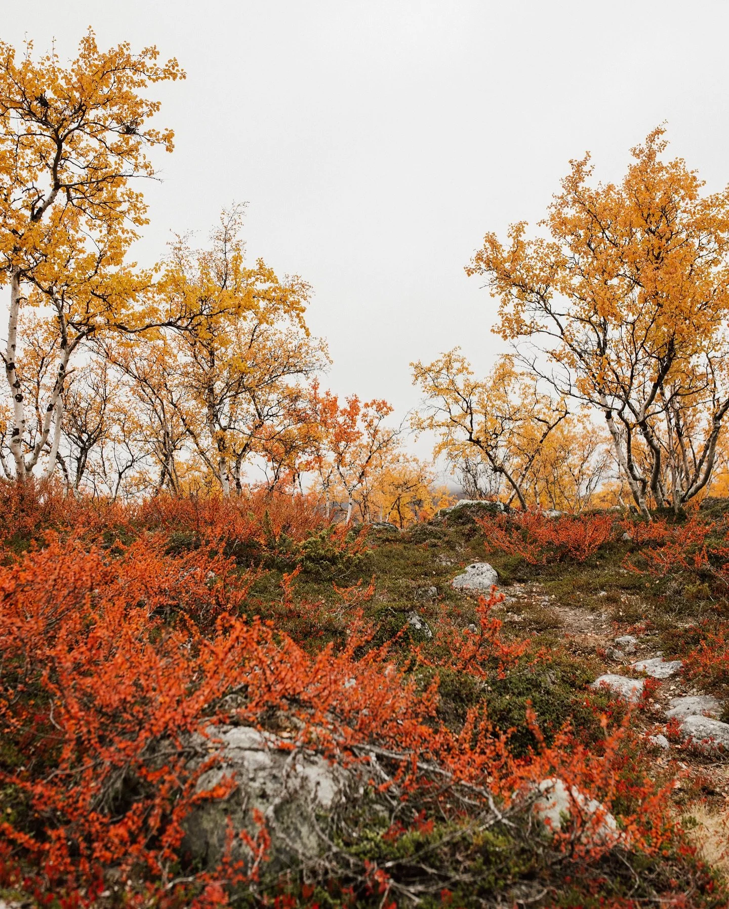 Seasons change ❤️