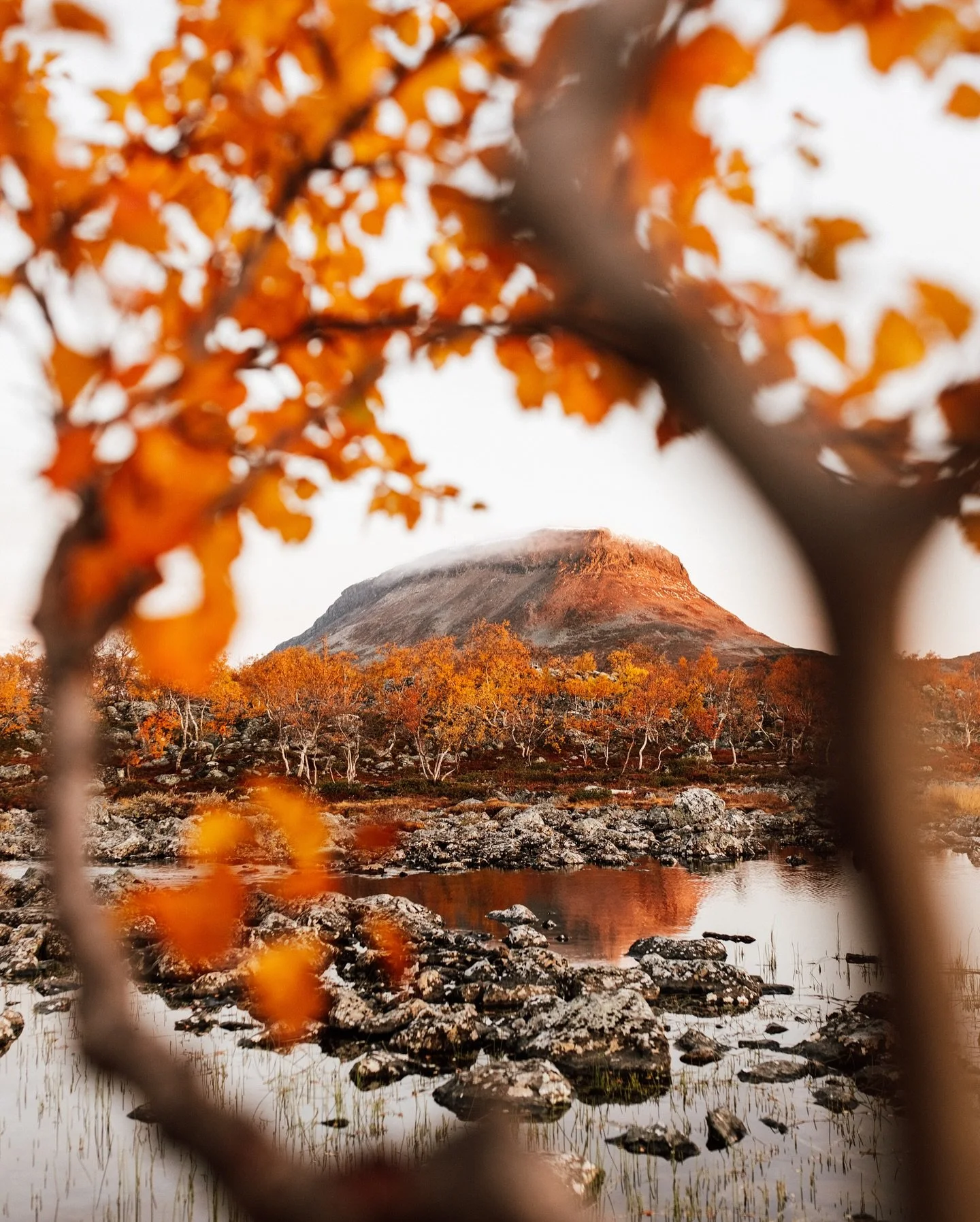 Autumn dump! The best time of the year is finally here! 🍂 #ruska #syksy #suomi #finland #autumn
