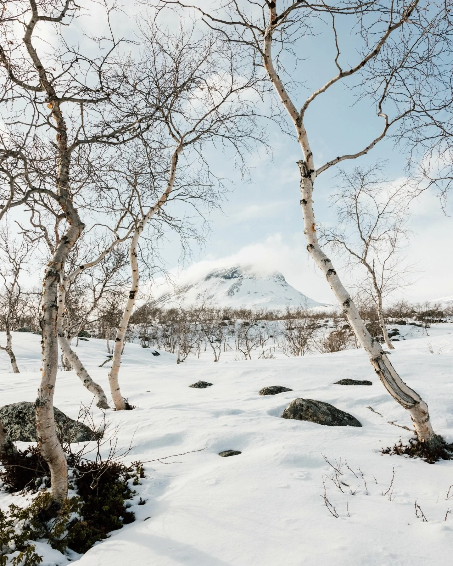 Saanatunturi 3.5.26 🤍 Samaan aikaan kun Kaivopuistoa vuorattiin ihmisten toimesta roskilla, sai Kilpisj&auml;rvi luonto&auml;idin toimesta kaunista, puhdasta lumivaippaa ylleen. Ei ole vaikeaa p&auml;&auml;tt&auml;&auml;, kumpaa n&auml;ytelm&auml;&a