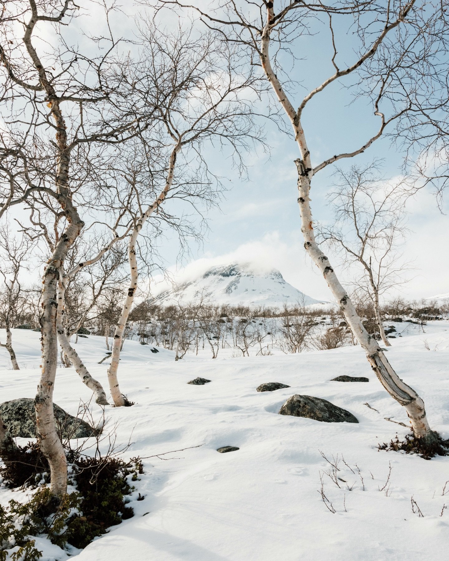 Saanatunturi 3.5.26 🤍 Samaan aikaan kun Kaivopuistoa vuorattiin ihmisten toimesta roskilla, sai Kilpisj&auml;rvi luonto&auml;idin toimesta kaunista, puhdasta lumivaippaa ylleen. Ei ole vaikeaa p&auml;&auml;tt&auml;&auml;, kumpaa n&auml;ytelm&auml;&a