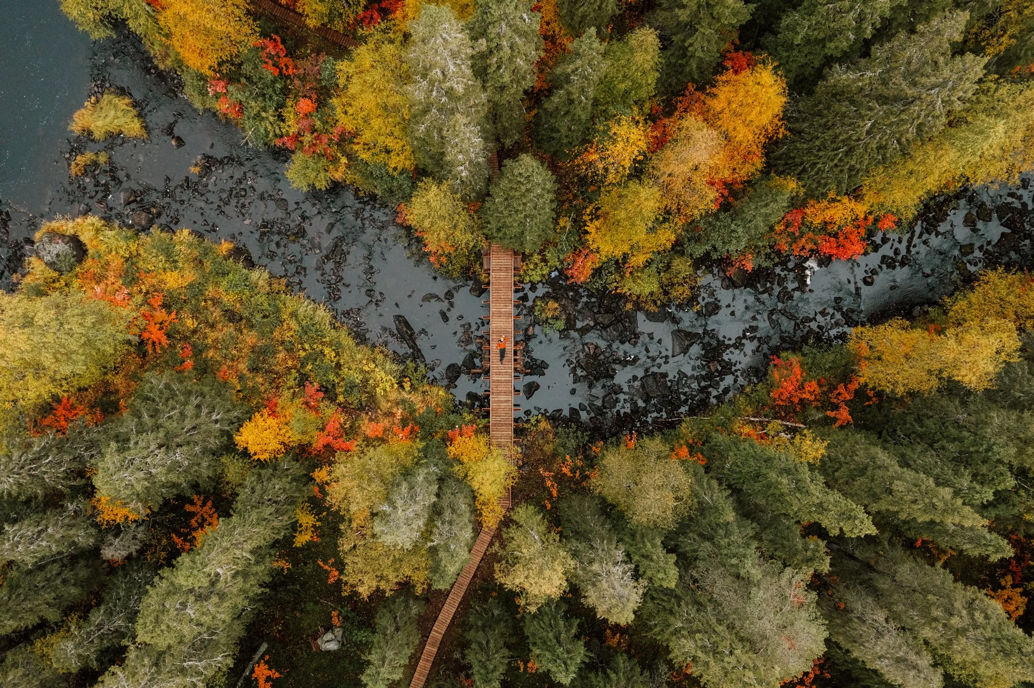 DJI_0218_2048-2.jpg