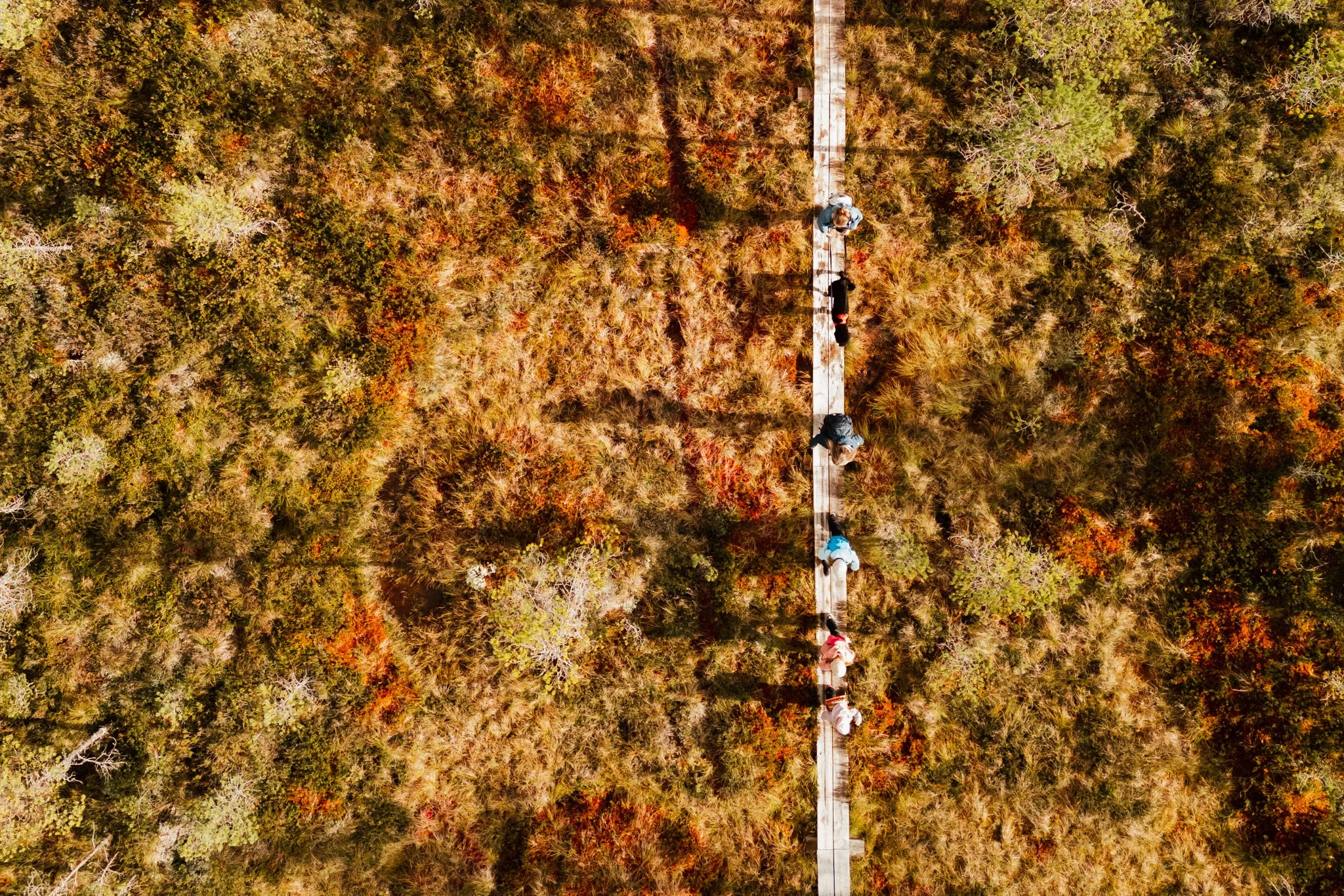 DJI_0578_2048.jpg