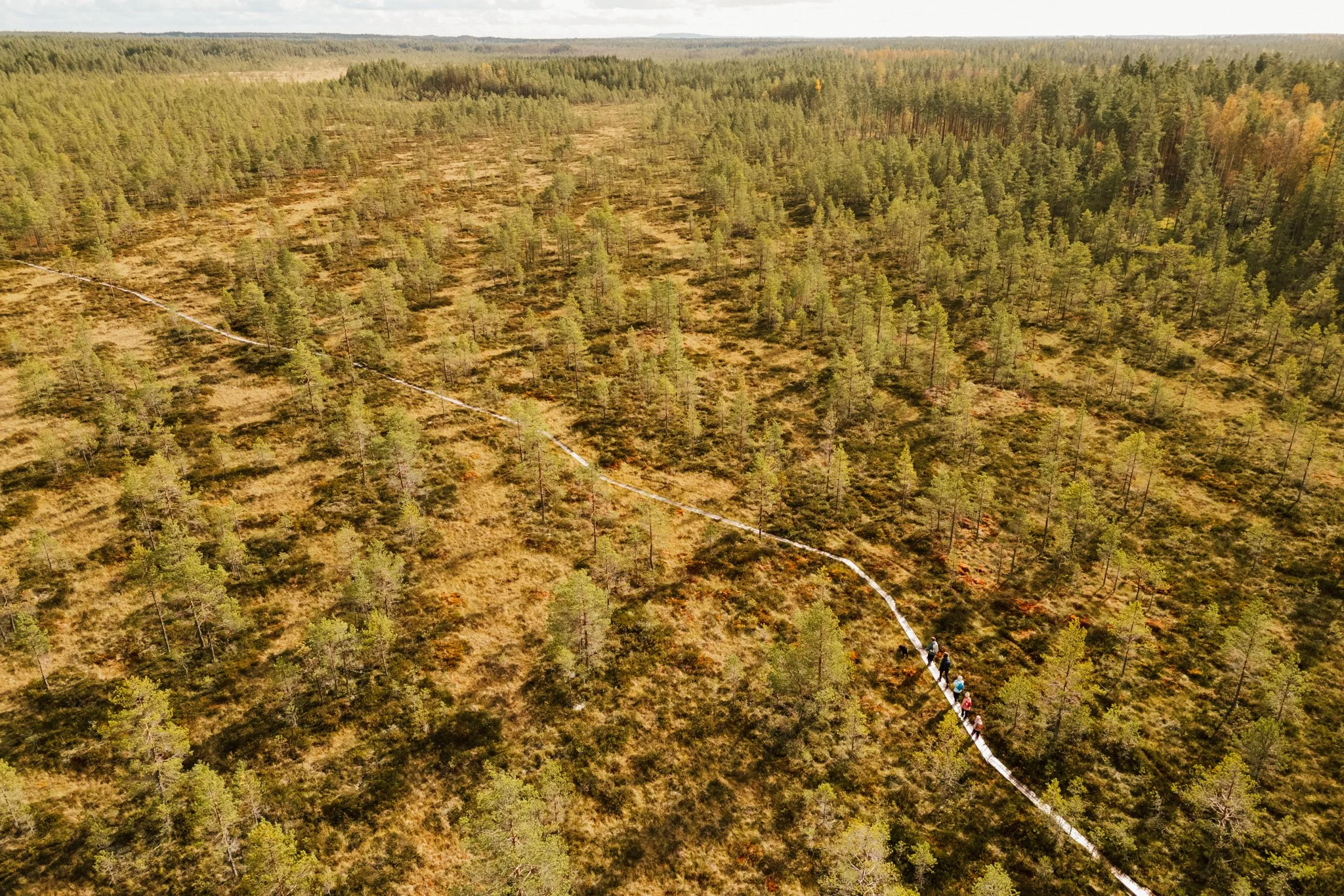 DJI_0550_2048.jpg