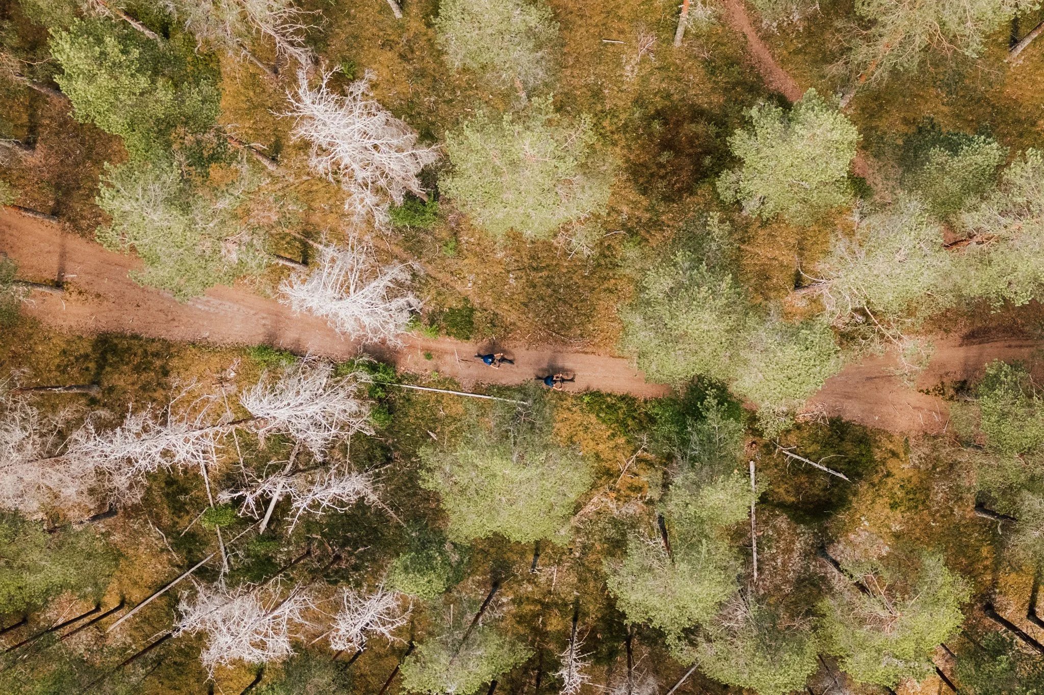 DJI_0072_2048.jpg