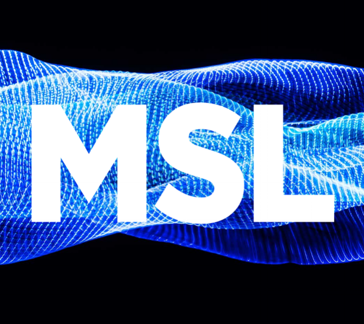 MSL pic.png