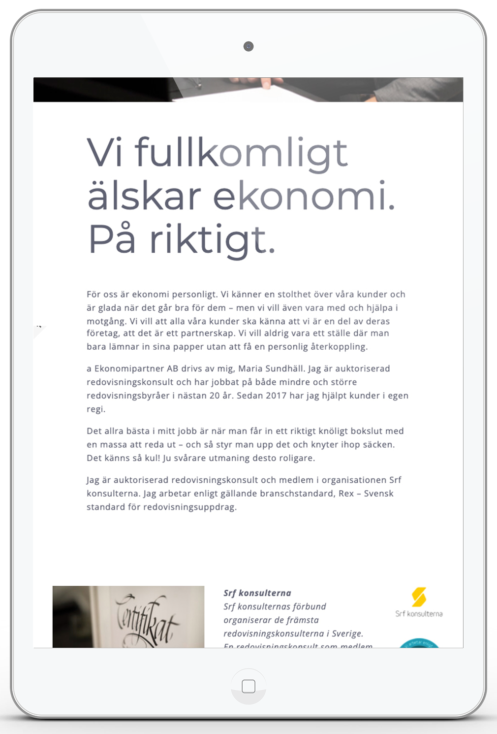 Platta web a ekonomipartner1.png