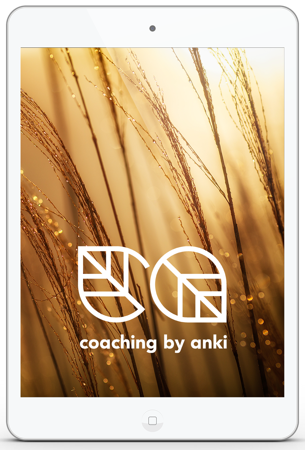 platta logga coaching by anki3.png