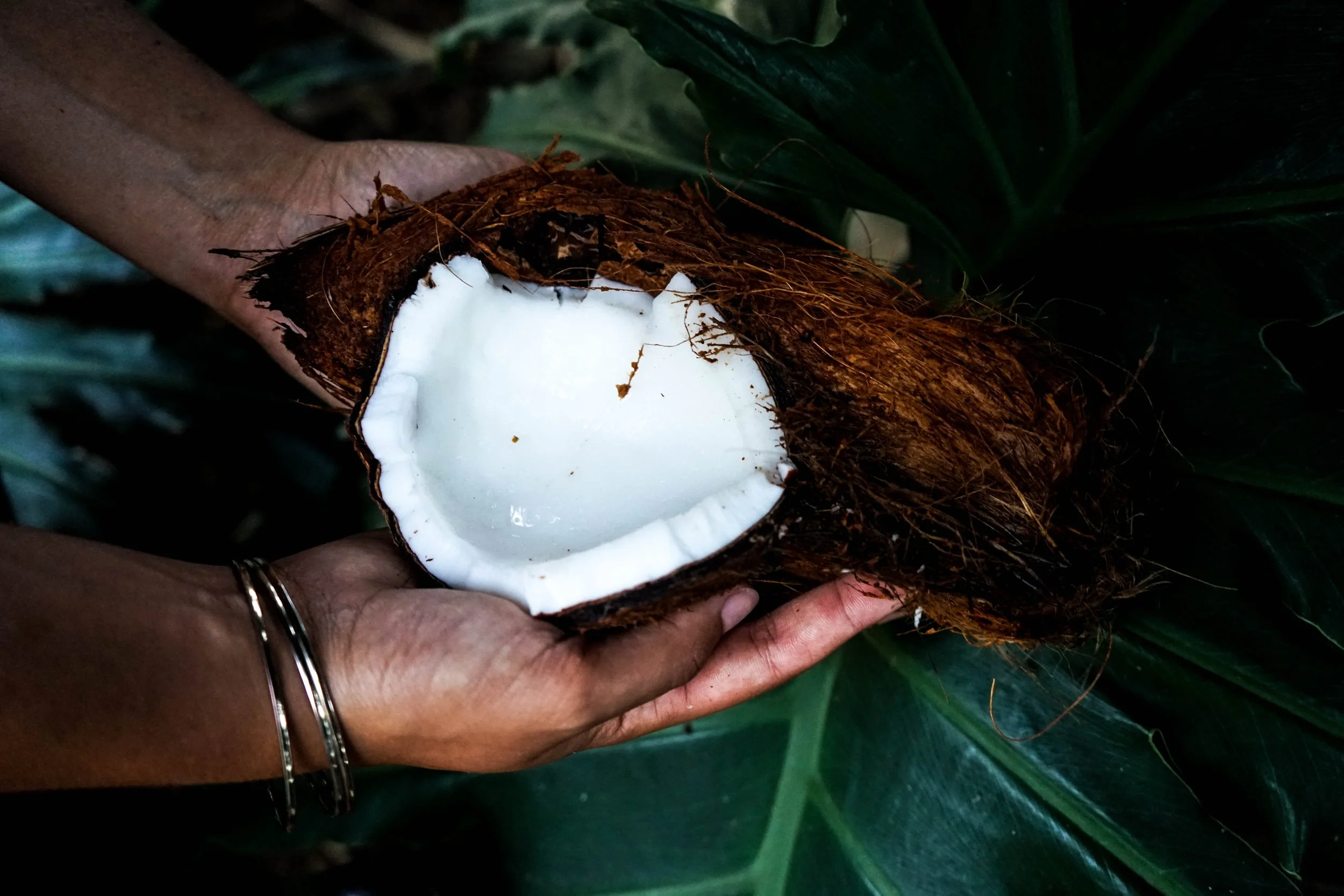 coconut.jpg