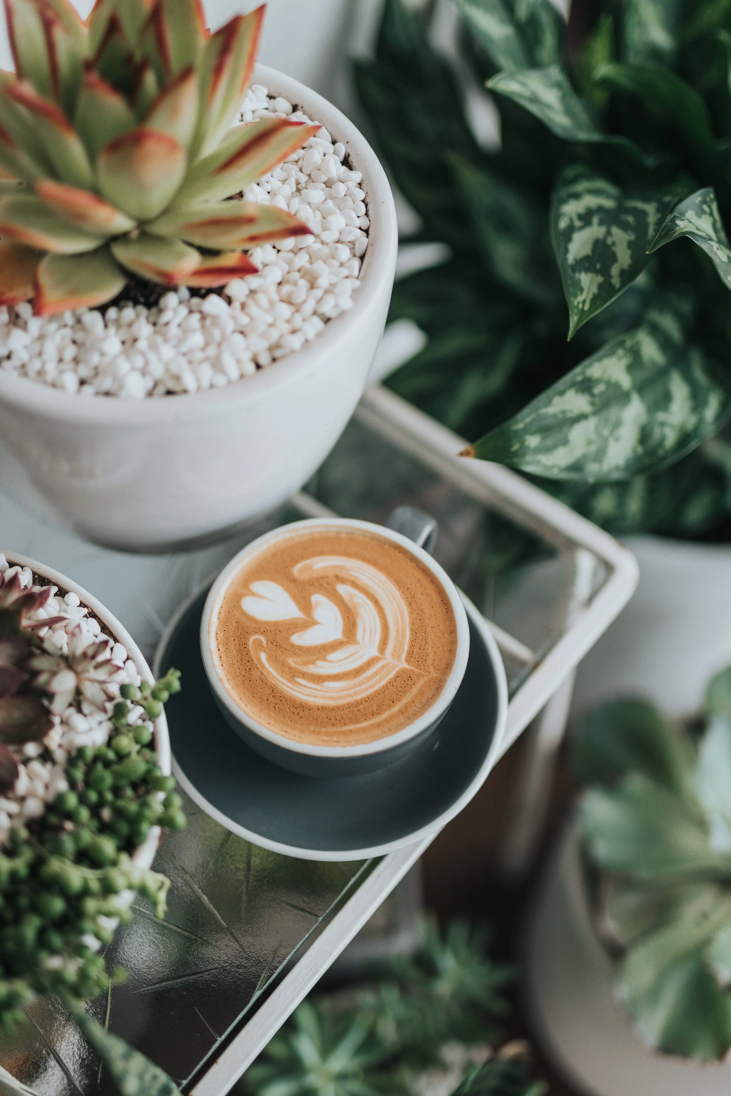latte.jpg