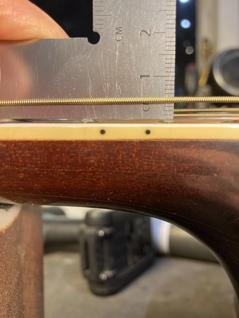 Hagstrom J-45 3.jpeg