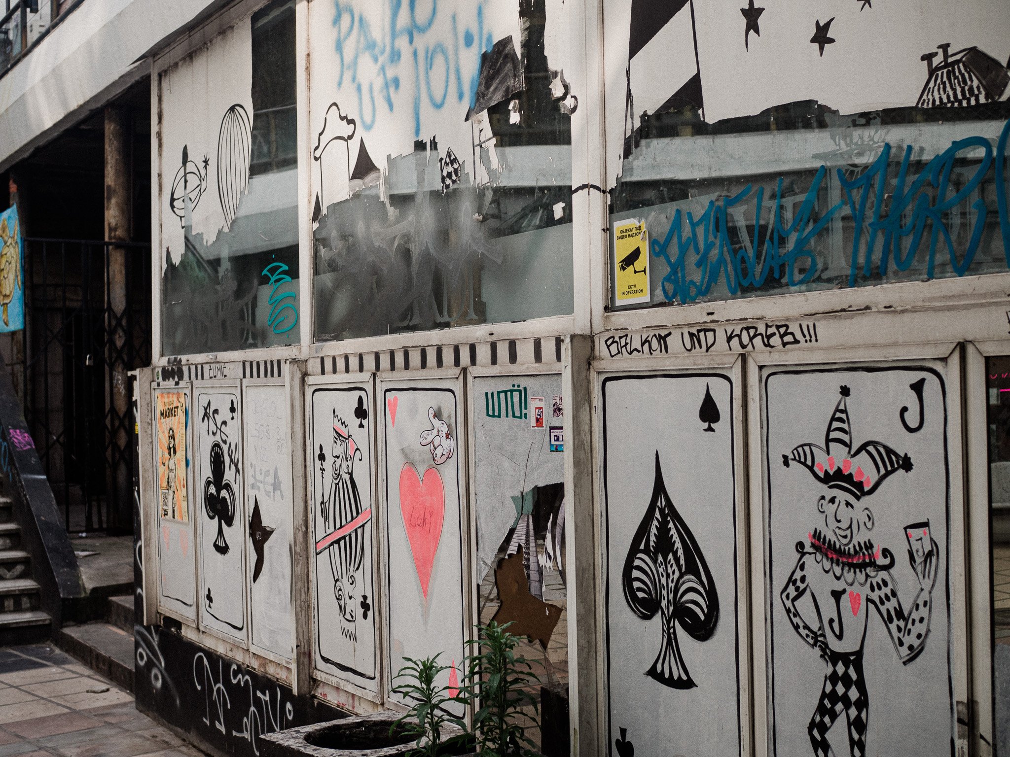 P6112828.jpg