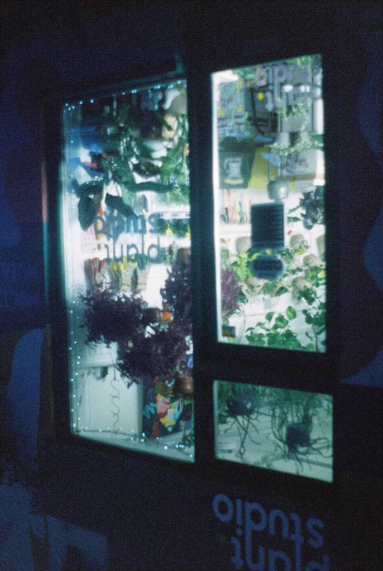000010.jpg