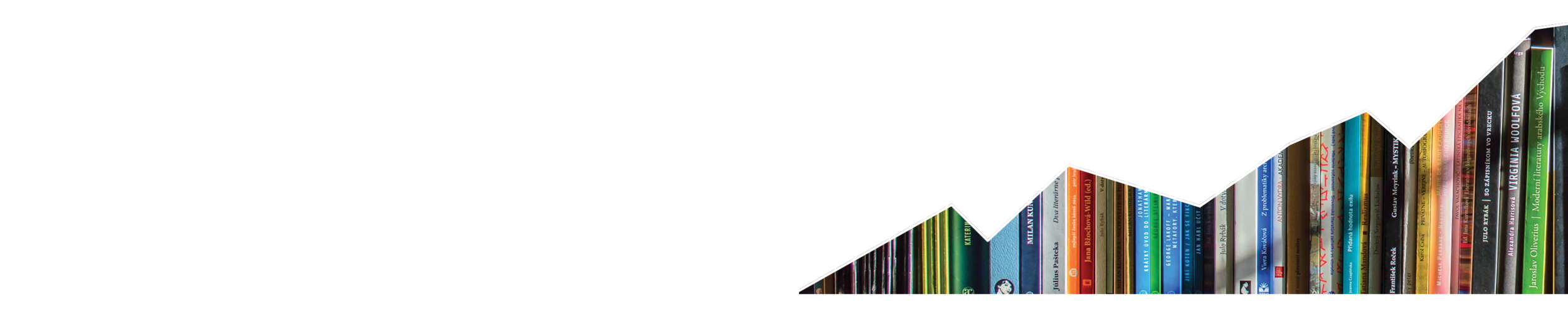 New website home page graphics.png