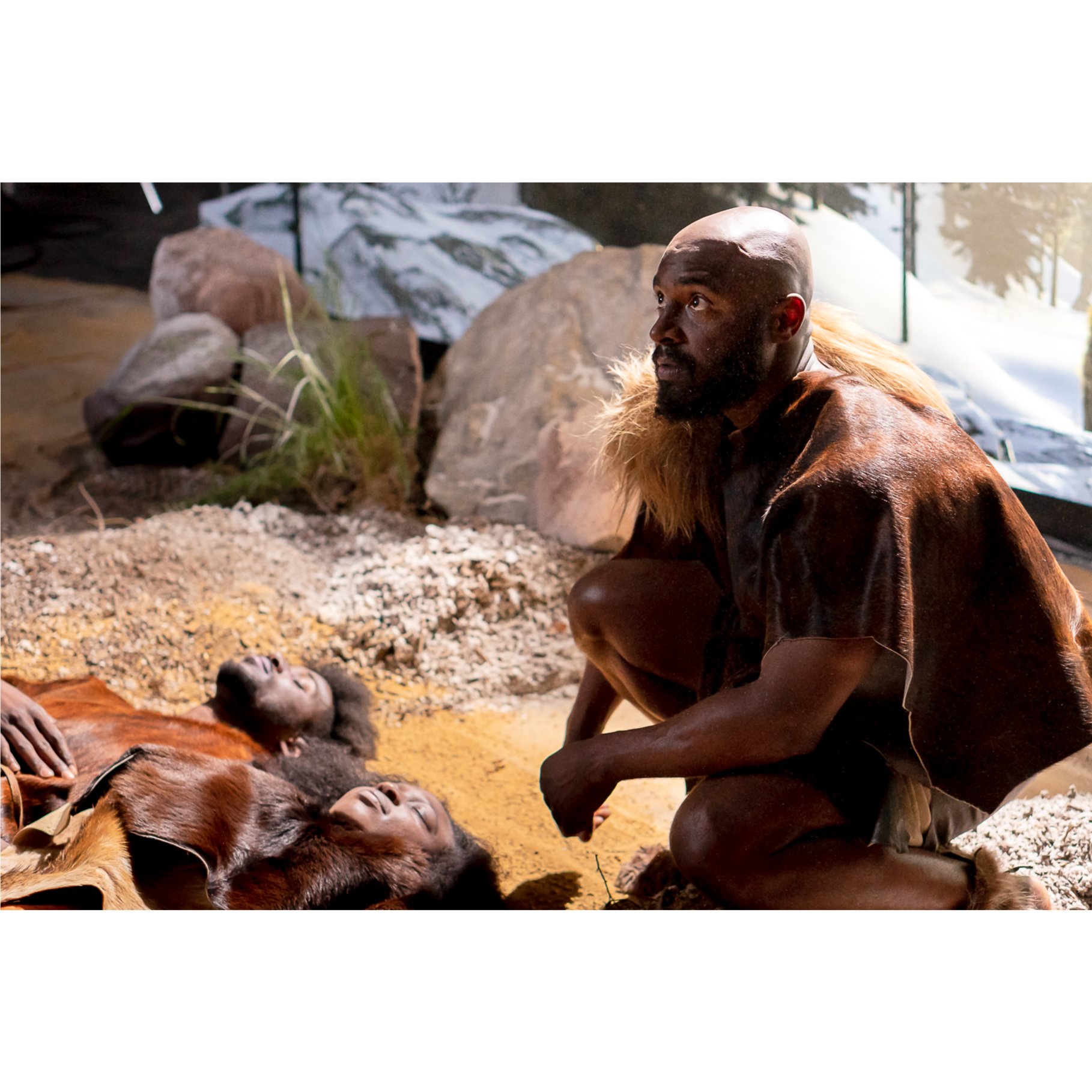 ice-Age-04.jpg