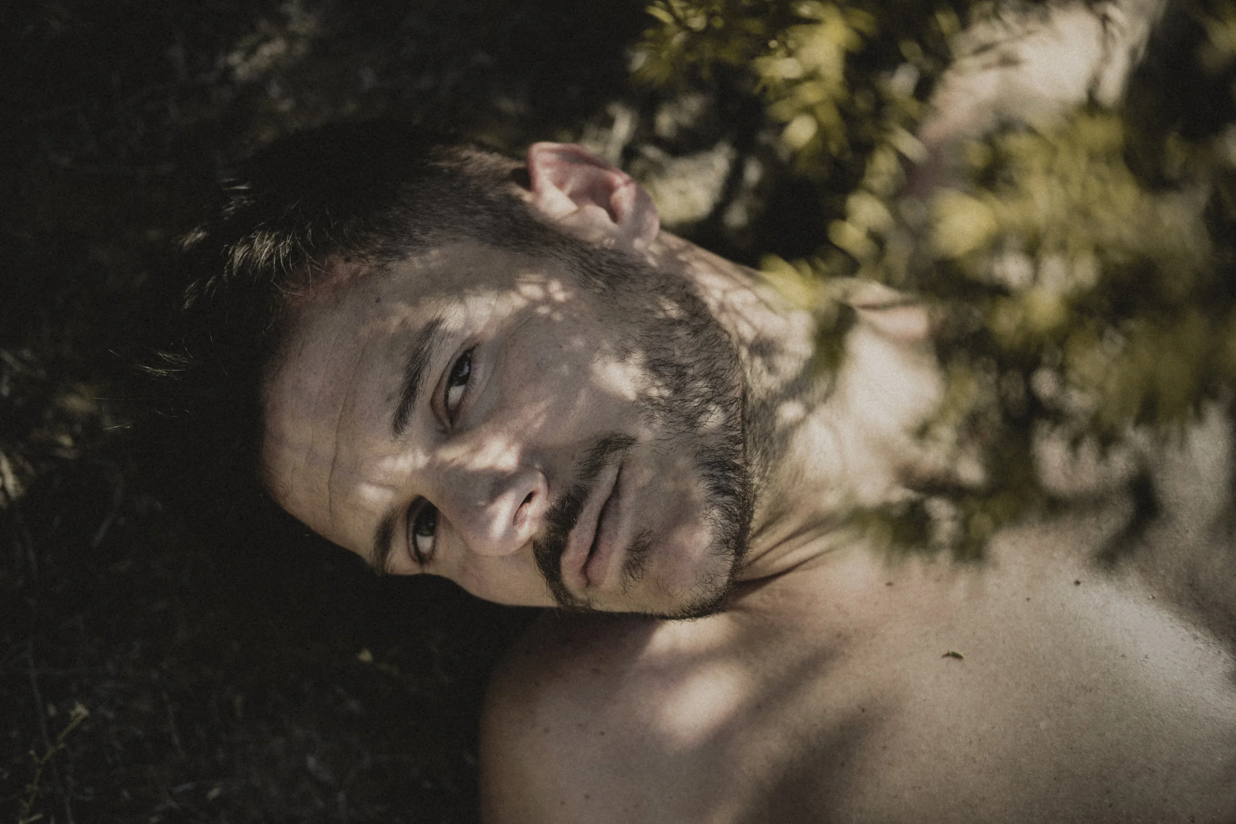Alessandro