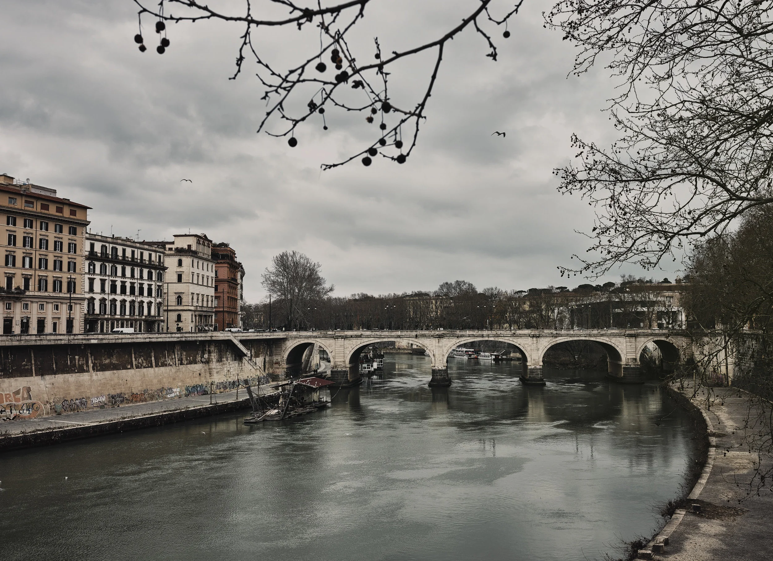 DSCF8807.jpg