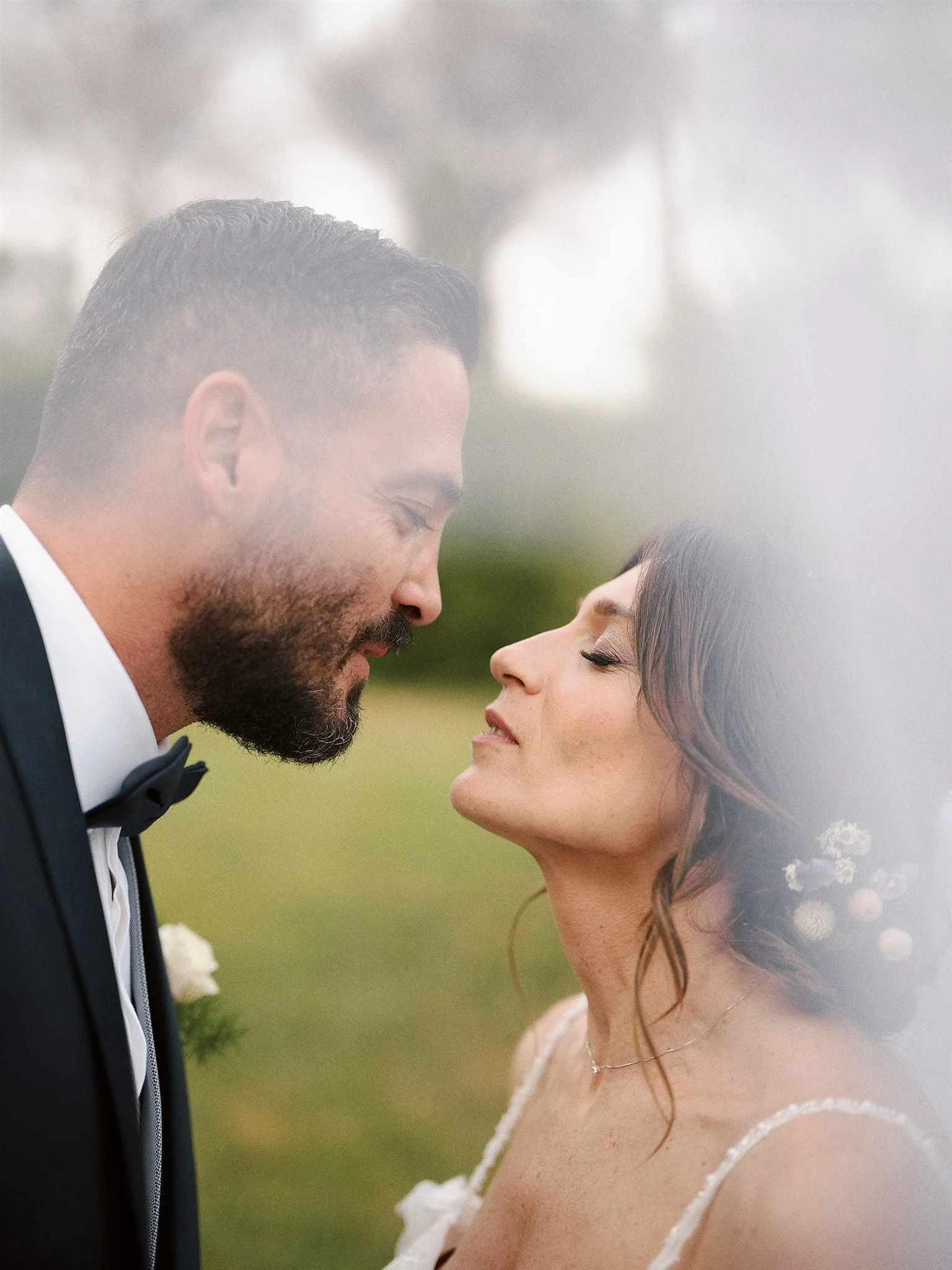 Coccinella M & S 165.JPG