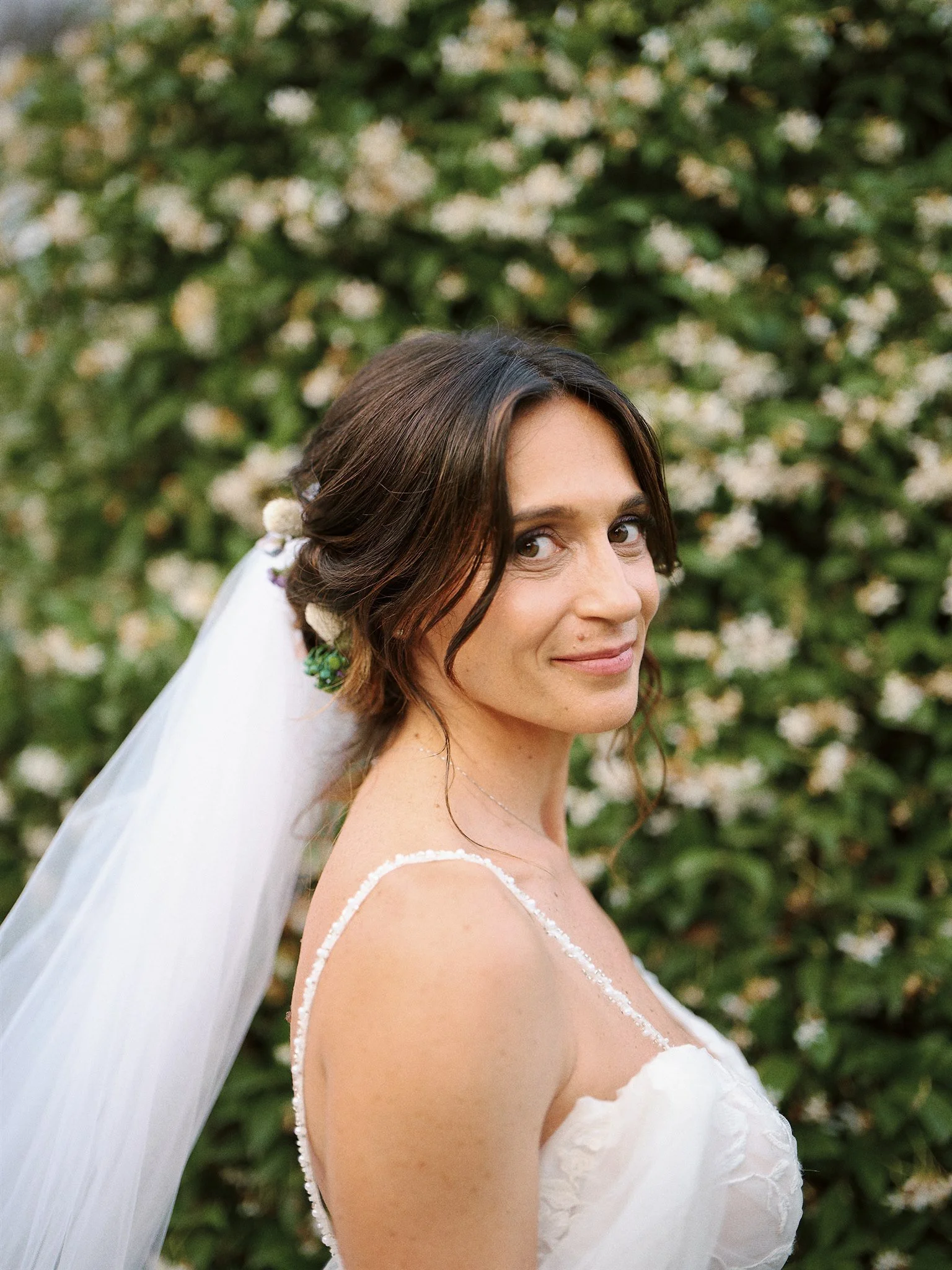 Coccinella M & S 179.JPG