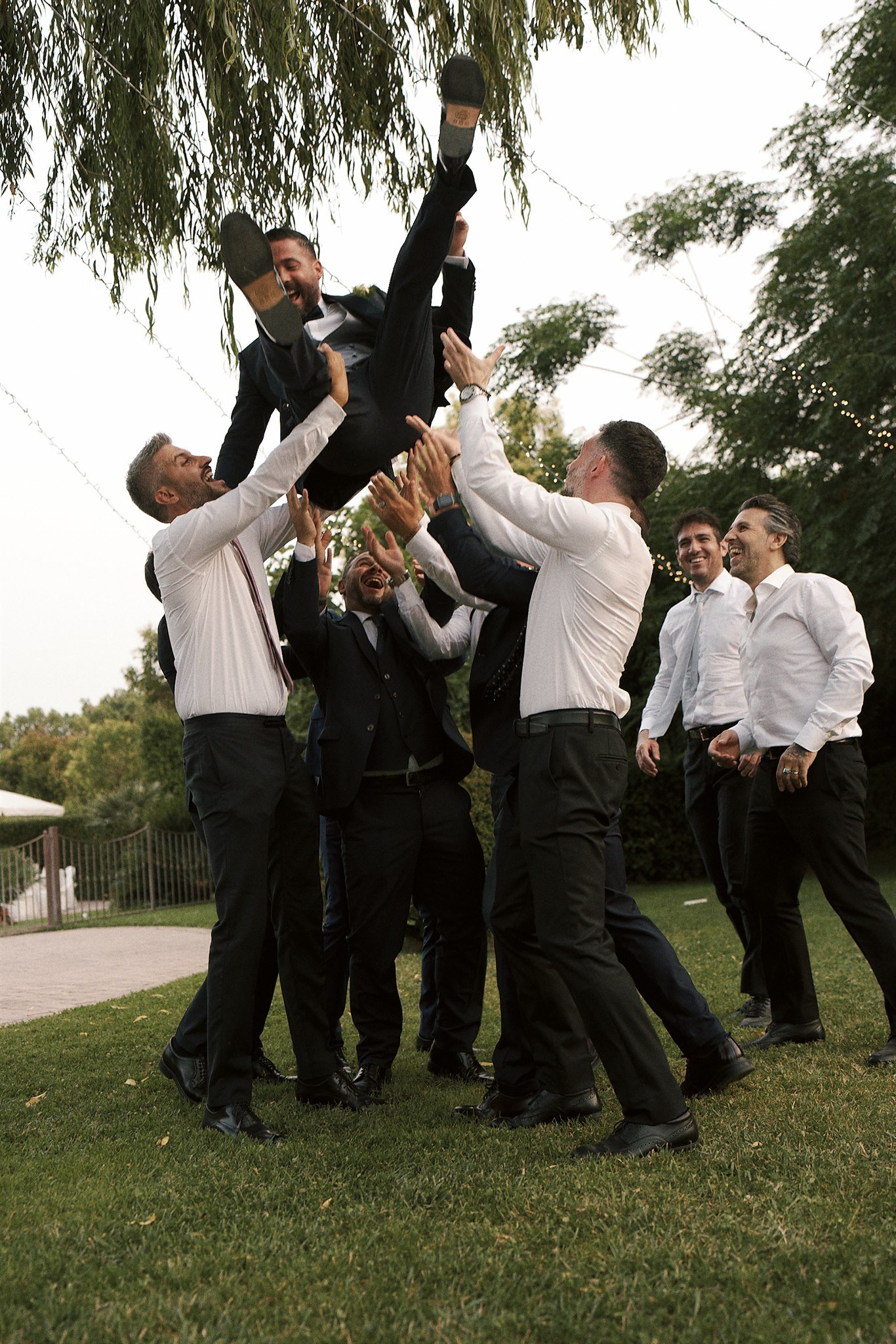 Coccinella M & S 252.JPG