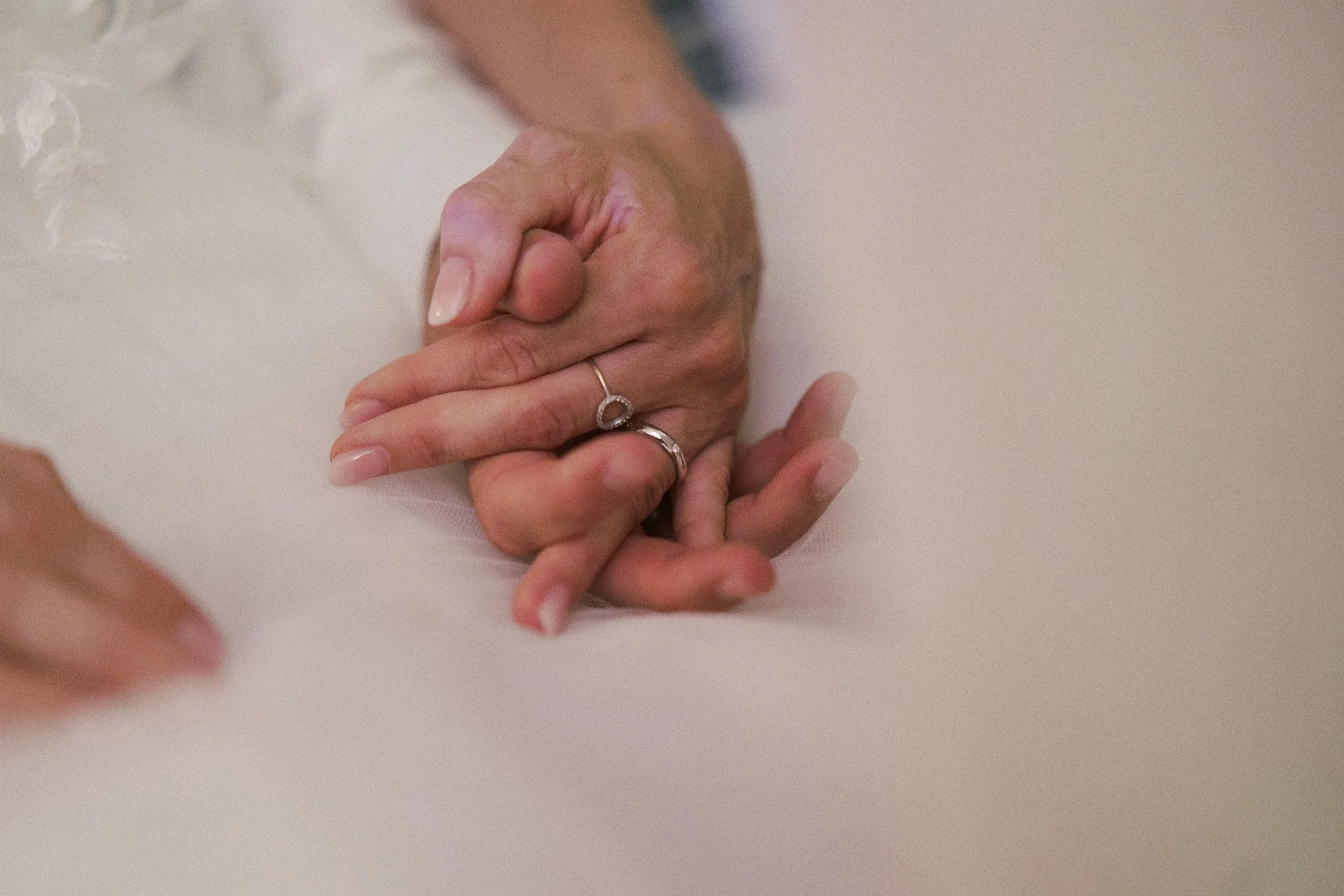 Coccinella M & S 539.JPG