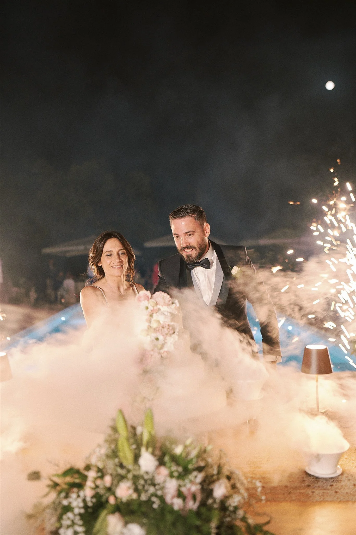 Coccinella M & S 763.JPG