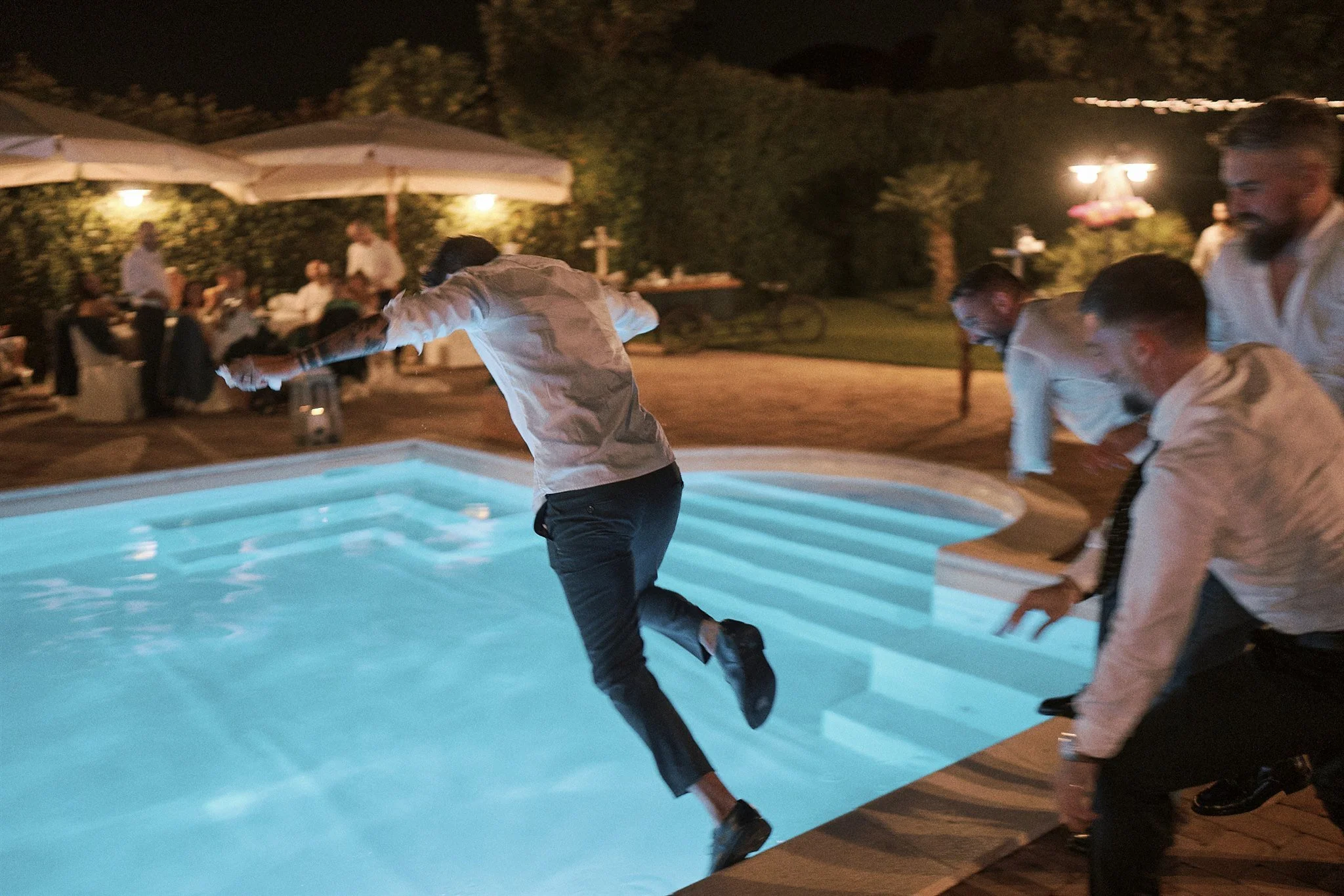 Coccinella M & S 833.JPG