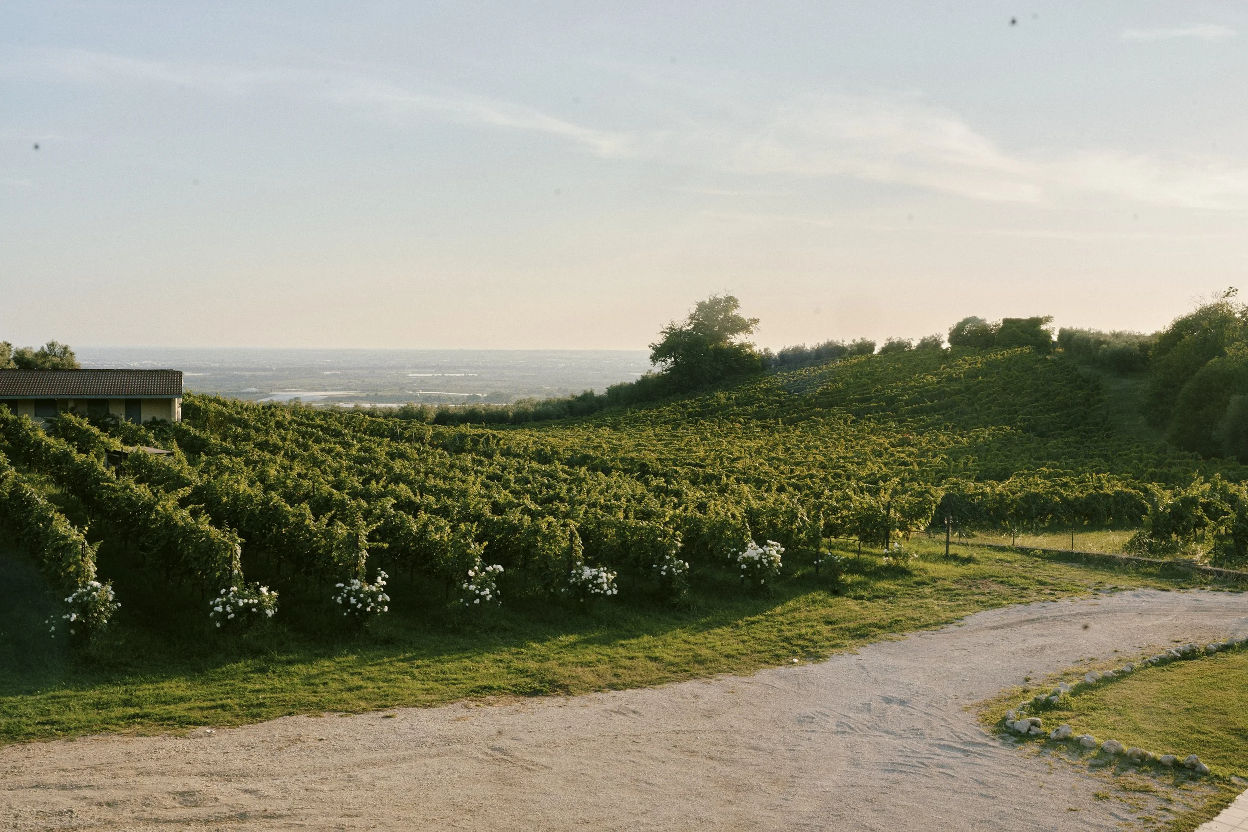 F e P Cincinnato 1143.jpg