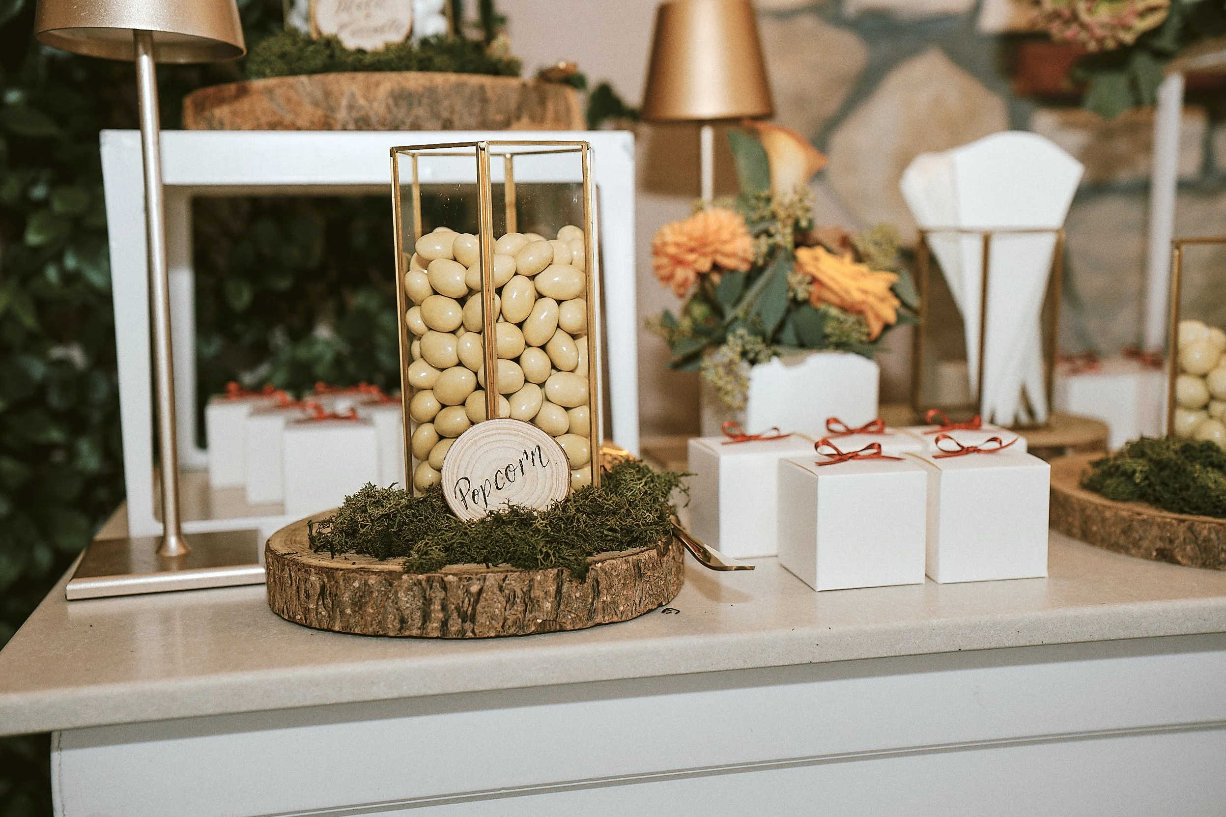 Vale e Simone 5 starsg 225.jpg