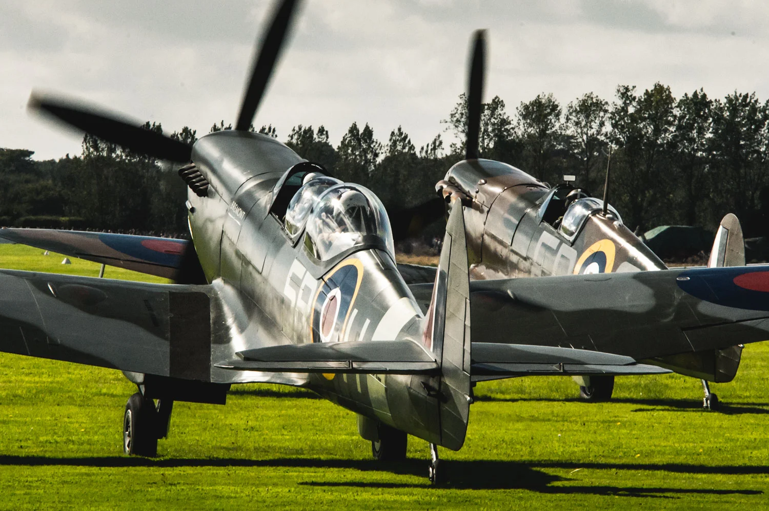 DSC_9728.jpg