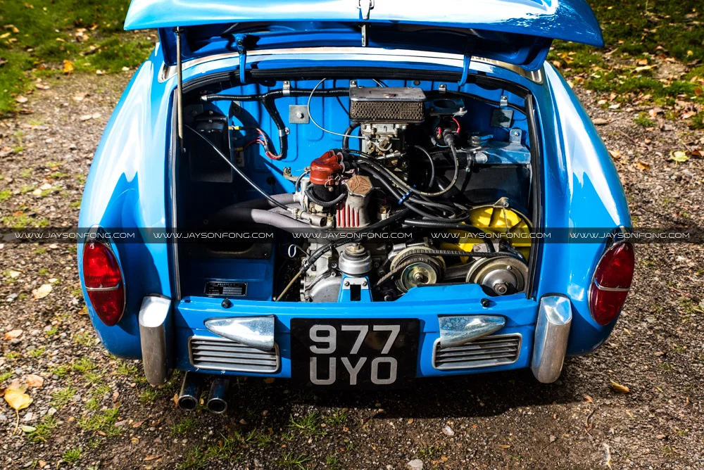 DSC_1695.jpg