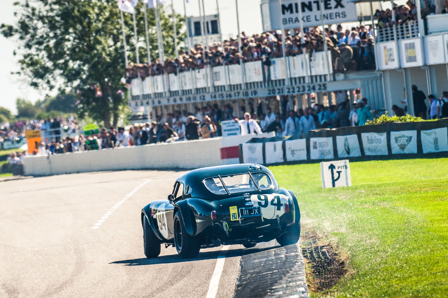 Jayson-Fong-Photography-Form-and-function-international-AC-Cobra.jpg