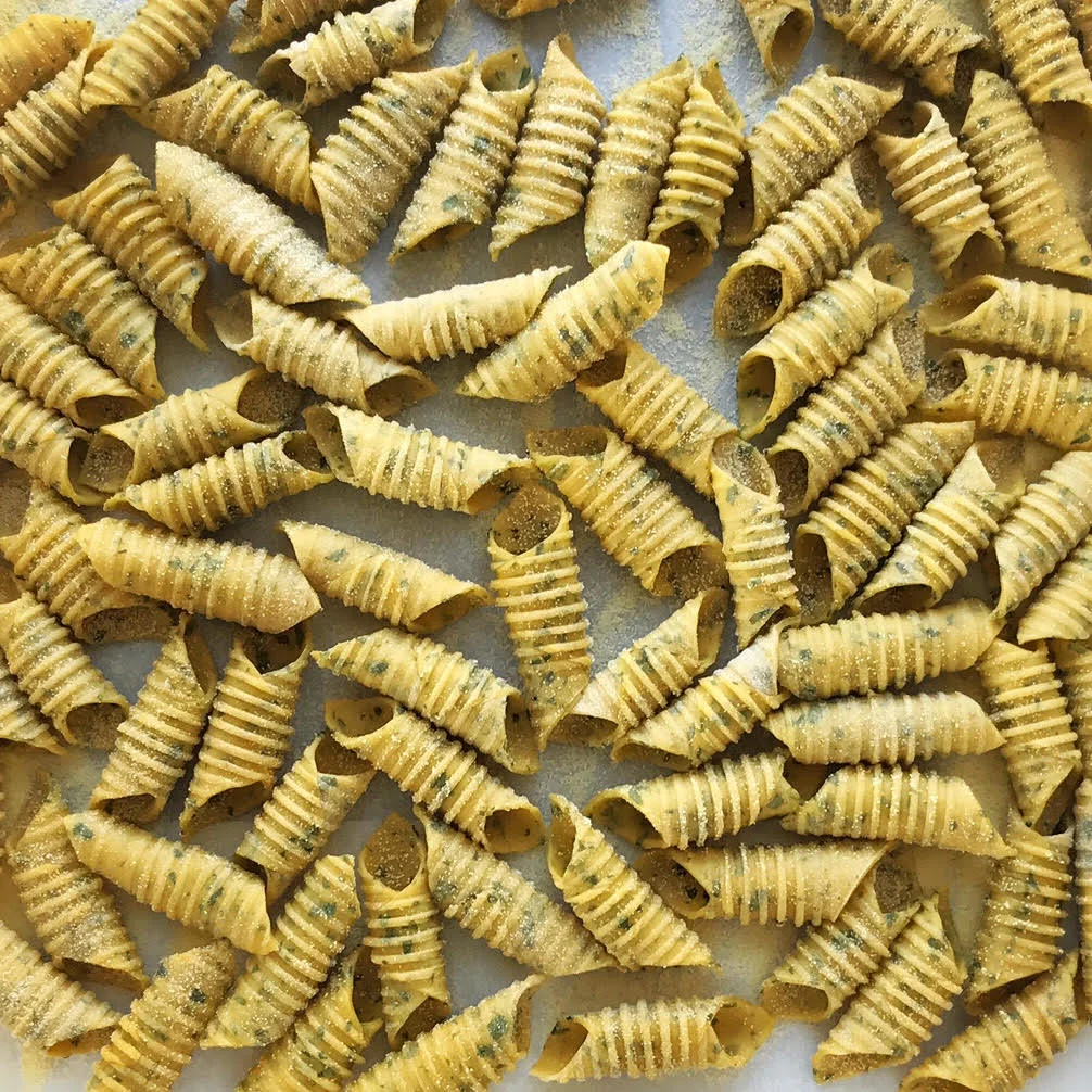 Pasta-Lab.jpg