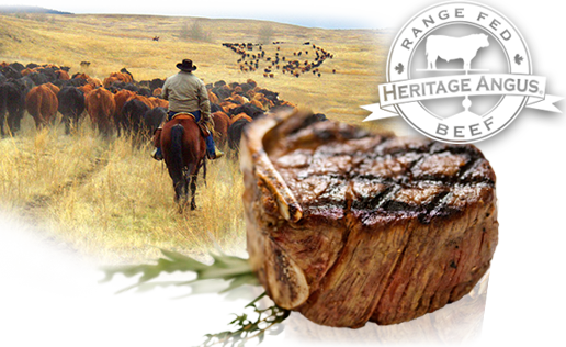 zurheide-feine-kost-produkt-highlight-heritage-angus-rindfleisch.png
