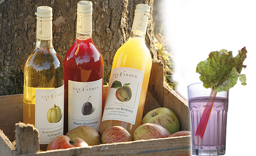 zurheide-feine-kost-produkt-vannahmen-saft.png