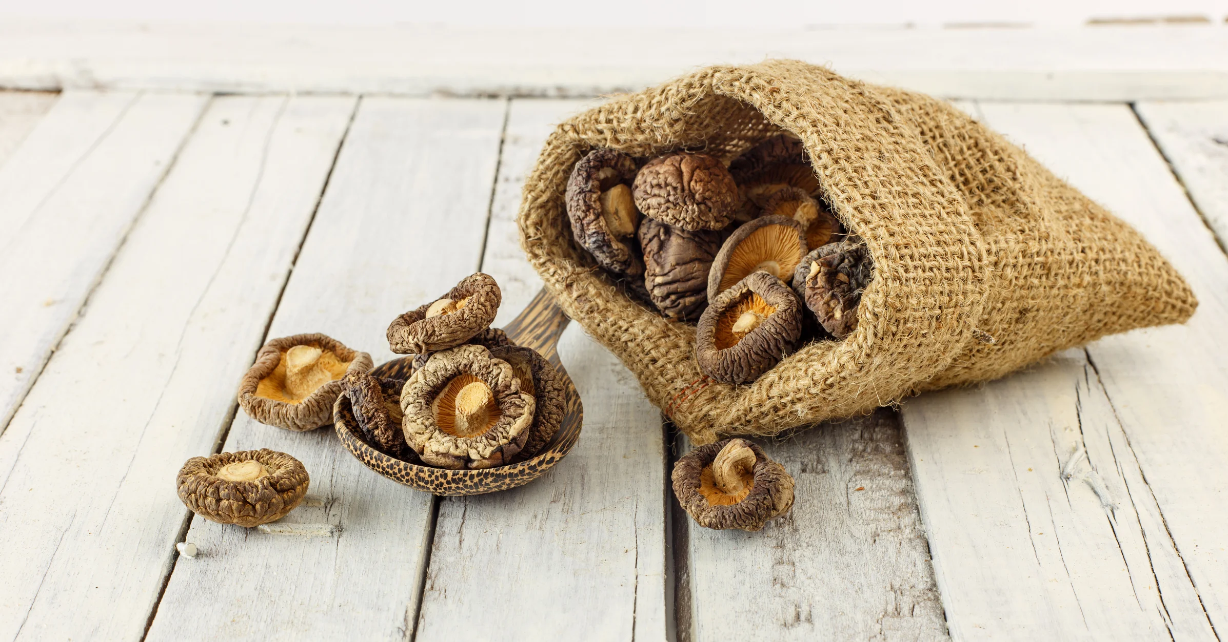 shiitake-wissen-und-zubereitung.jpg