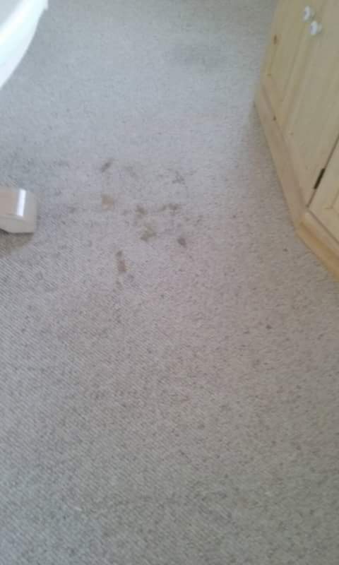 Carpet Cleaning - BEFORE