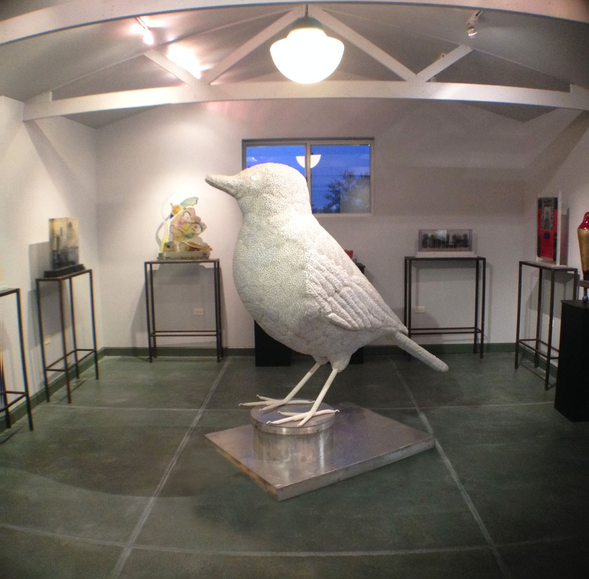 Gallery bird shot.jpg