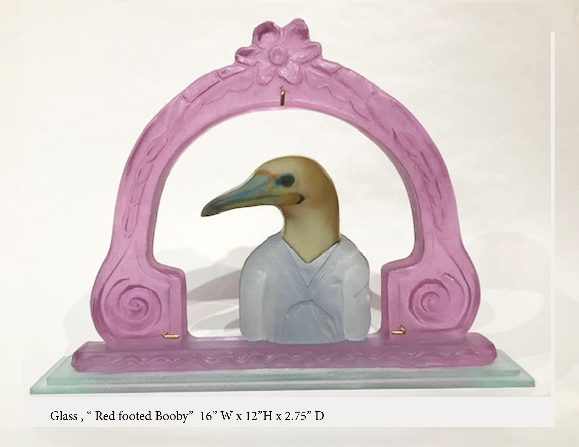 " Red footed Booby"