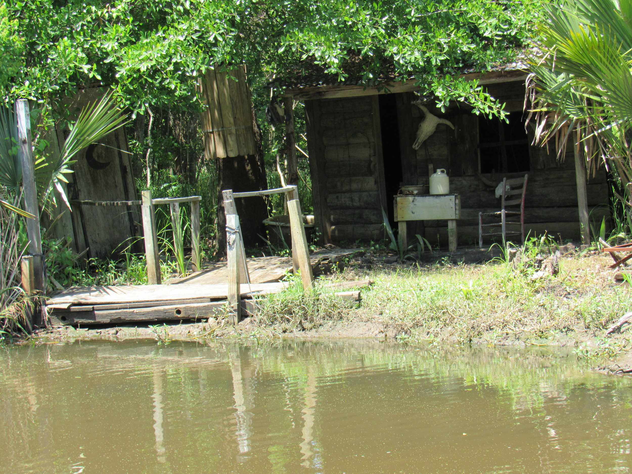 cajun pride swamp tour groupon