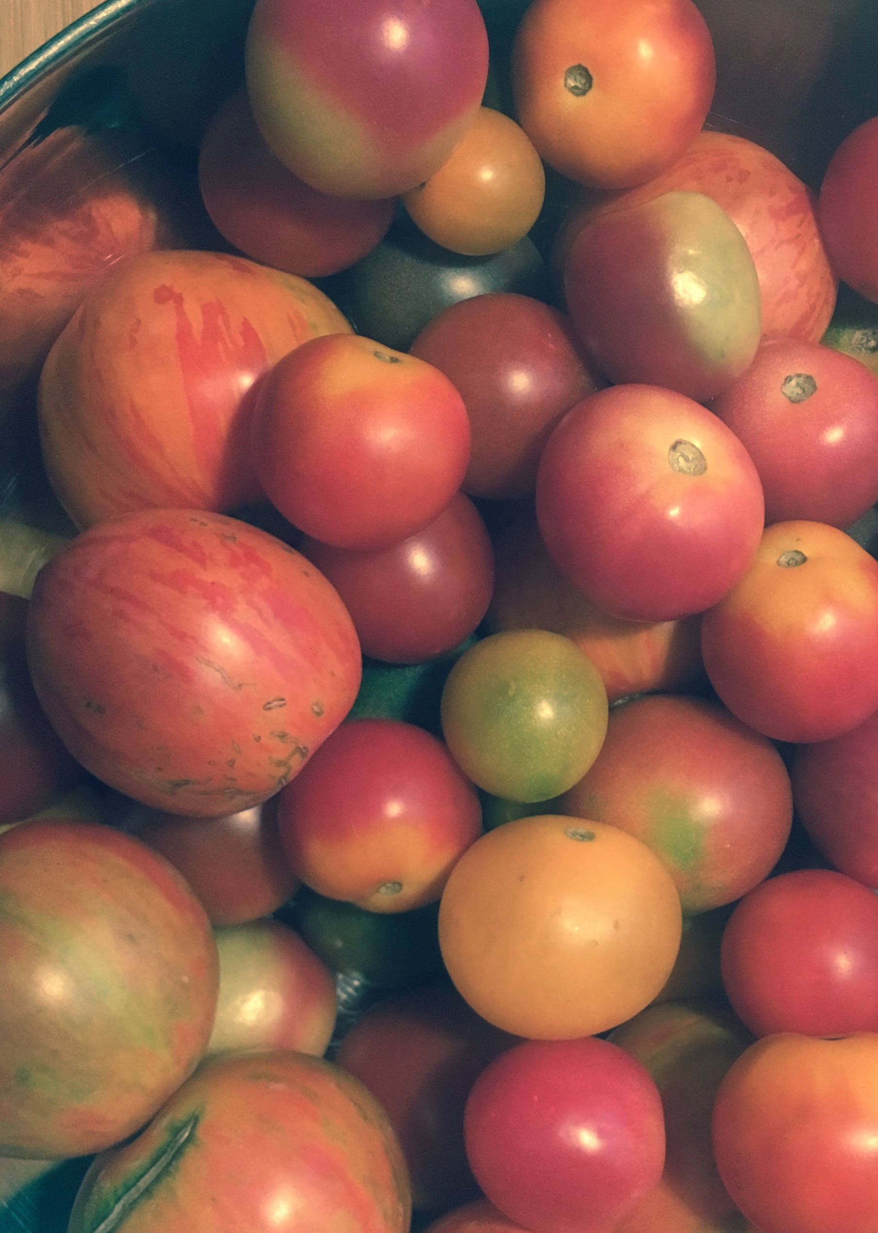Go FOURTH and NOSH