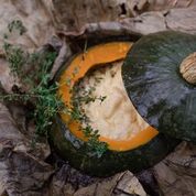Kabocha - Well Stuffed