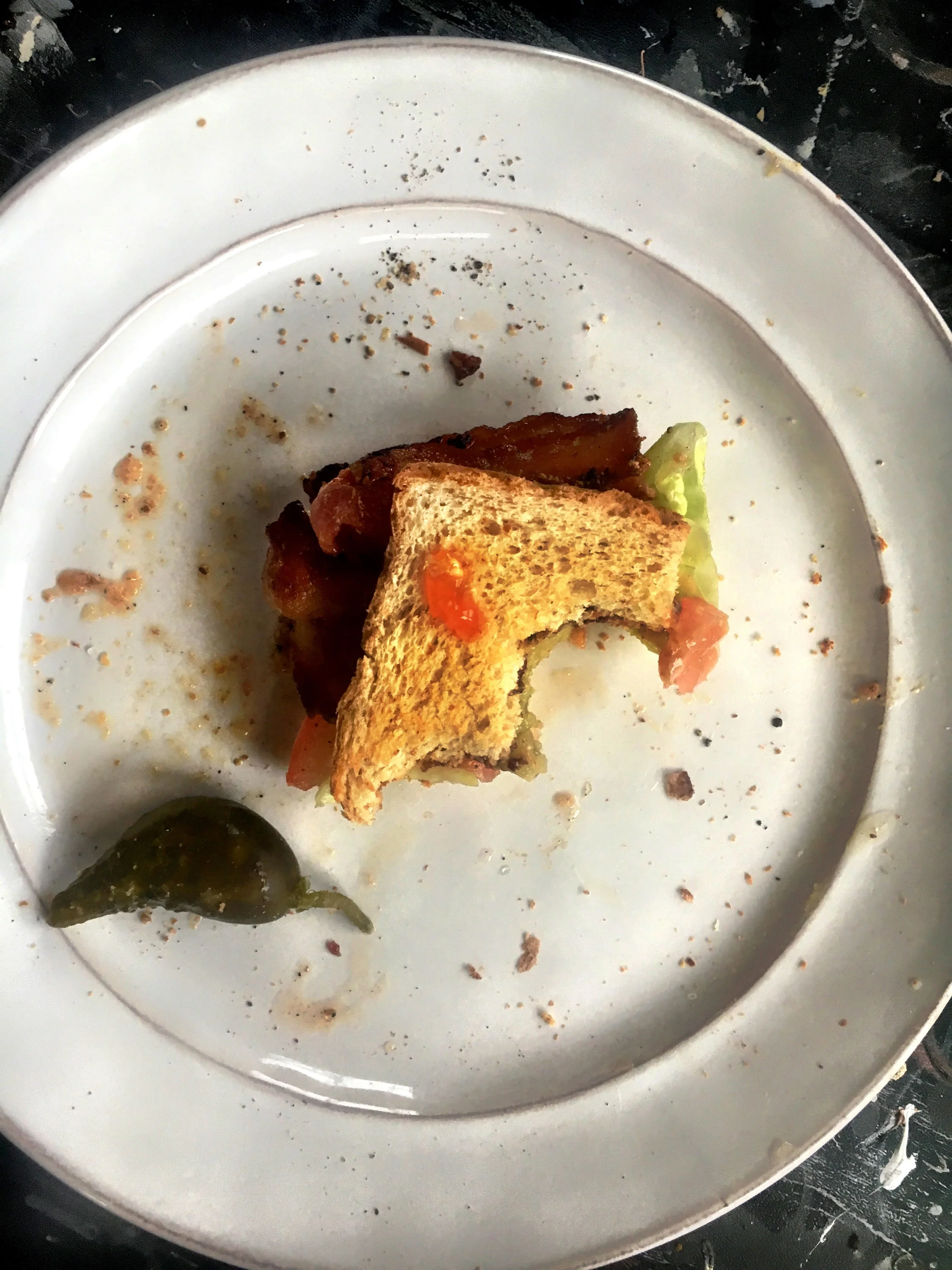 Anatomy of a Sandwich 